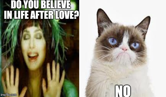 DO YOU BELIEVE IN LIFE AFTER LOVE? NO | image tagged in grumpy cat,cher | made w/ Imgflip meme maker
