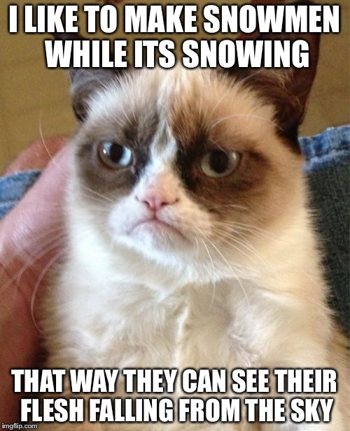 Its disgustingly true... | I LIKE TO MAKE SNOWMEN WHILE ITS SNOWING; THAT WAY THEY CAN SEE THEIR FLESH FALLING FROM THE SKY | image tagged in memes,grumpy cat,snow,snowman,oh god why | made w/ Imgflip meme maker