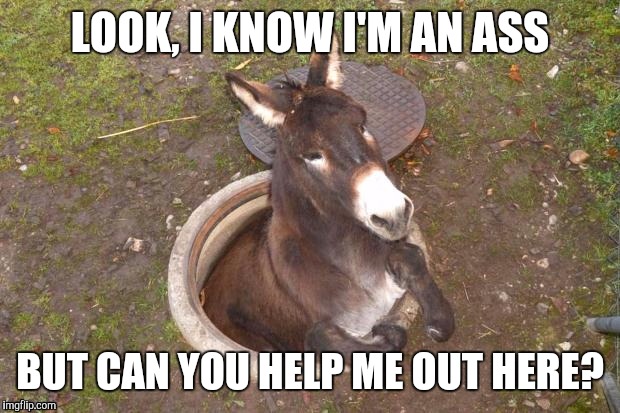 Please? | LOOK, I KNOW I'M AN ASS; BUT CAN YOU HELP ME OUT HERE? | image tagged in ass in a hole,funny,memes | made w/ Imgflip meme maker