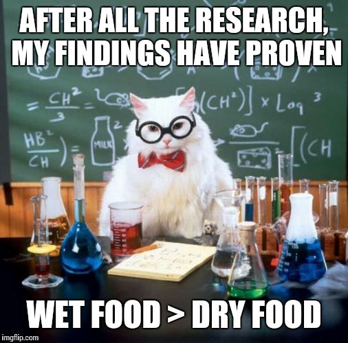 Chemistry Cat Meme | AFTER ALL THE RESEARCH, MY FINDINGS HAVE PROVEN; WET FOOD > DRY FOOD | image tagged in memes,chemistry cat | made w/ Imgflip meme maker