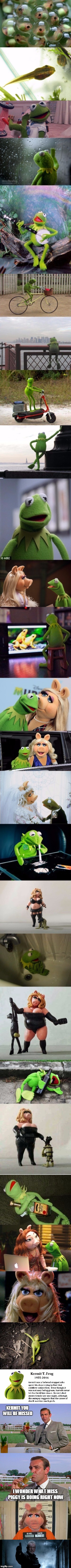The Life and Death of Kermit | KERMIT YOU WILL BE MISSED; I WONDER WHAT MISS PIGGY IS DOING RIGHT NOW | image tagged in memes,kermit the frog,sean connery  kermit,miss piggy | made w/ Imgflip meme maker