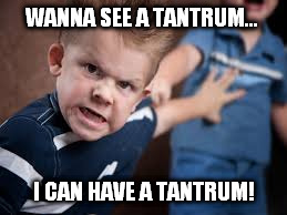WANNA SEE A TANTRUM... I CAN HAVE A TANTRUM! | made w/ Imgflip meme maker