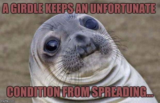 Awkward Moment Sealion | A GIRDLE KEEPS AN UNFORTUNATE; CONDITION FROM SPREADING... | image tagged in memes,awkward moment sealion | made w/ Imgflip meme maker