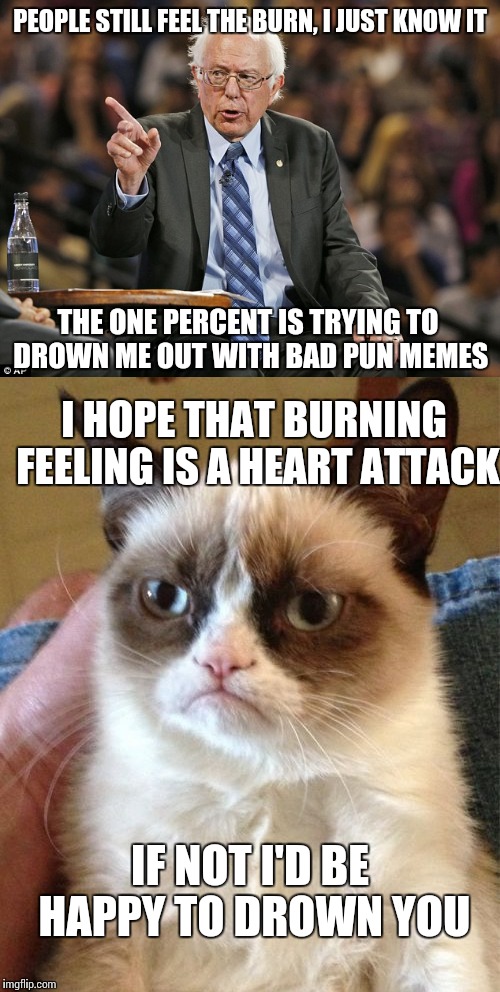 The bad pun memes, yeah, that's it | PEOPLE STILL FEEL THE BURN, I JUST KNOW IT; THE ONE PERCENT IS TRYING TO DROWN ME OUT WITH BAD PUN MEMES; I HOPE THAT BURNING FEELING IS A HEART ATTACK; IF NOT I'D BE HAPPY TO DROWN YOU | image tagged in funny meme,bernie sanders,grumpy cat | made w/ Imgflip meme maker