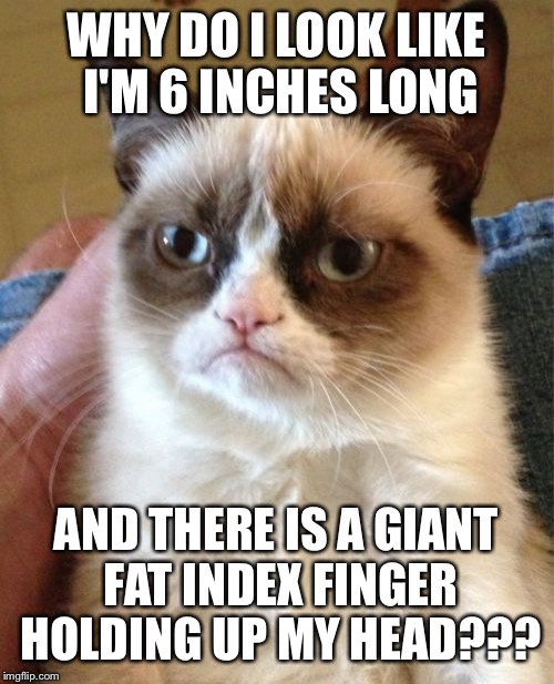 What the heck is going on  | WHY DO I LOOK LIKE I'M 6 INCHES LONG; AND THERE IS A GIANT FAT INDEX FINGER HOLDING UP MY HEAD??? | image tagged in memes,grumpy cat,truth | made w/ Imgflip meme maker