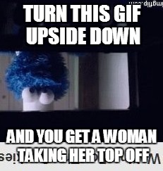 TURN THIS GIF UPSIDE DOWN; AND YOU GET A WOMAN TAKING HER TOP OFF | image tagged in boobs | made w/ Imgflip meme maker
