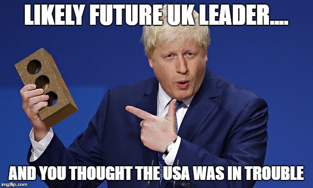 thick as a brick | LIKELY FUTURE UK LEADER.... AND YOU THOUGHT THE USA WAS IN TROUBLE | image tagged in political,boris and his brick,pet brick | made w/ Imgflip meme maker