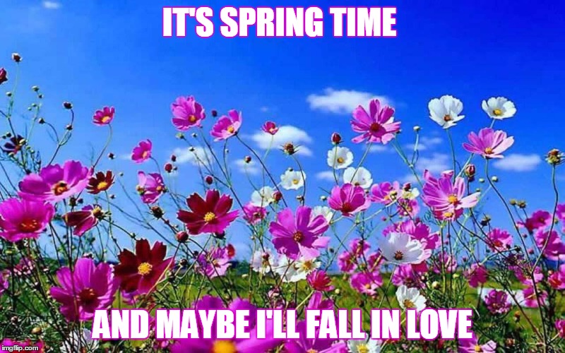 Spring time | IT'S SPRING TIME; AND MAYBE I'LL FALL IN LOVE | image tagged in love,meme,love memes,flowers,funny | made w/ Imgflip meme maker