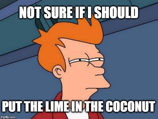 Futurama Fry Meme | NOT SURE IF I SHOULD PUT THE LIME IN THE COCONUT | image tagged in memes,futurama fry | made w/ Imgflip meme maker