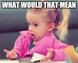 WHAT WOULD THAT MEAN | made w/ Imgflip meme maker