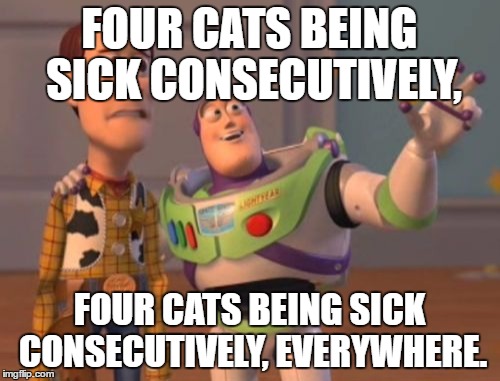 X, X Everywhere Meme | FOUR CATS BEING SICK CONSECUTIVELY, FOUR CATS BEING SICK CONSECUTIVELY, EVERYWHERE. | image tagged in memes,x x everywhere | made w/ Imgflip meme maker