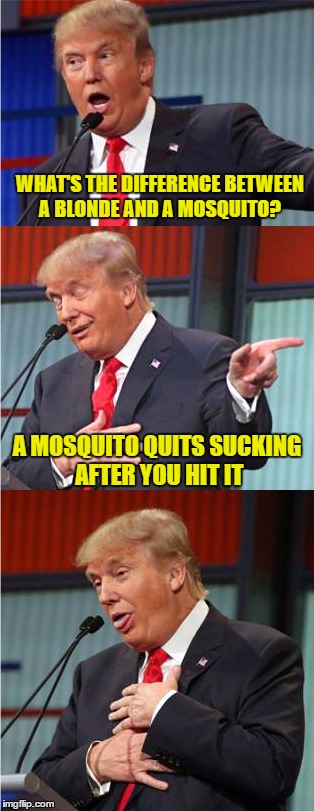 Bad Pun Trump | WHAT'S THE DIFFERENCE BETWEEN A BLONDE AND A MOSQUITO? A MOSQUITO QUITS SUCKING AFTER YOU HIT IT | image tagged in bad pun trump | made w/ Imgflip meme maker