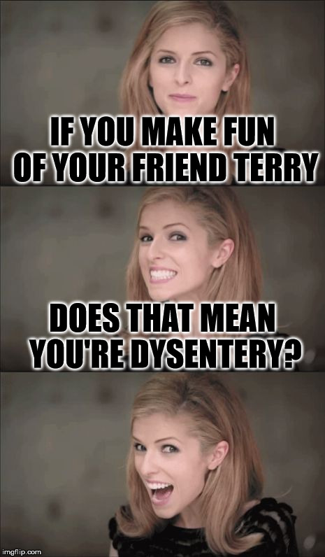 Bad Pun Anna Kendrick Meme | IF YOU MAKE FUN OF YOUR FRIEND TERRY; DOES THAT MEAN YOU'RE DYSENTERY? | image tagged in memes,bad pun anna kendrick | made w/ Imgflip meme maker