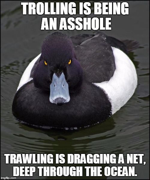 hi res angry advice mallard | TROLLING IS BEING AN ASSHOLE; TRAWLING IS DRAGGING A NET, DEEP THROUGH THE OCEAN. | image tagged in hi res angry advice mallard,AdviceAnimals | made w/ Imgflip meme maker