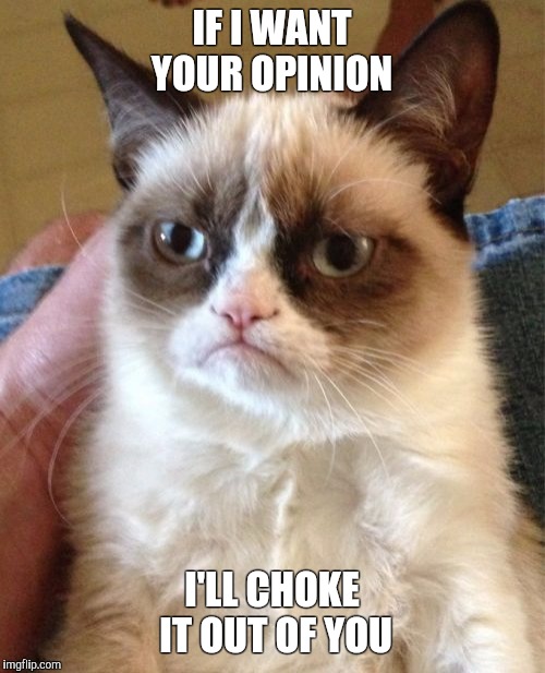 Grumpy Cat Meme | IF I WANT YOUR OPINION; I'LL CHOKE IT OUT OF YOU | image tagged in memes,grumpy cat | made w/ Imgflip meme maker