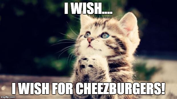 Cute kitten | I WISH.... I WISH FOR CHEEZBURGERS! | image tagged in cute kitten | made w/ Imgflip meme maker