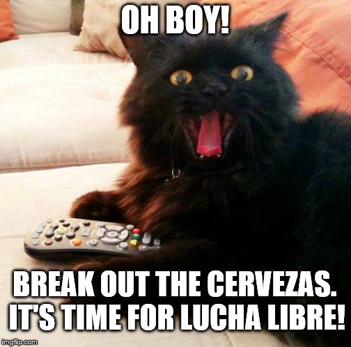 OH BOY! Cat: Time for cervezas and Lucha Libre  |  OH BOY! BREAK OUT THE CERVEZAS. IT'S TIME FOR LUCHA LIBRE! | image tagged in oh boy cat,memes,cerveza,lucha libre,beer,wrestling | made w/ Imgflip meme maker