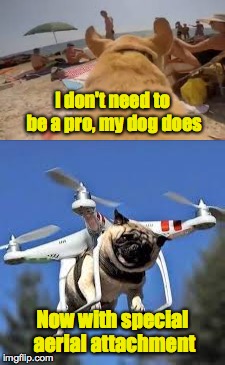 I don't need to be a pro, my dog does Now with special aerial attachment | made w/ Imgflip meme maker