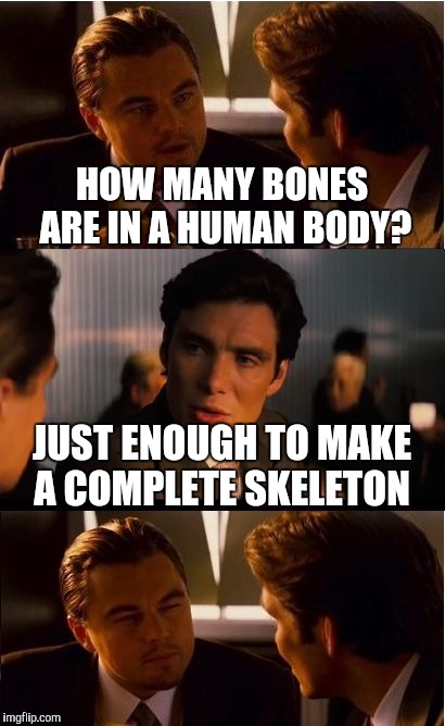 Inception | HOW MANY BONES ARE IN A HUMAN BODY? JUST ENOUGH TO MAKE A COMPLETE SKELETON | image tagged in memes,inception | made w/ Imgflip meme maker