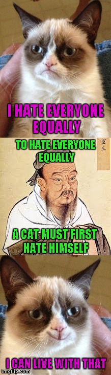 Nothing wrong with being self aware I guess. | I HATE EVERYONE EQUALLY; TO HATE EVERYONE EQUALLY; A CAT MUST FIRST HATE HIMSELF; I CAN LIVE WITH THAT | image tagged in memes,grumpy cat,confucius,funny,grumpy cat smiling | made w/ Imgflip meme maker