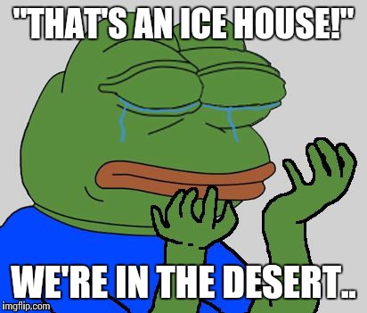 Sad Pepe the Frog | "THAT'S AN ICE HOUSE!"; WE'RE IN THE DESERT.. | image tagged in sad pepe the frog | made w/ Imgflip meme maker