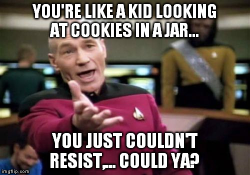 Picard Wtf Meme | YOU'RE LIKE A KID LOOKING AT COOKIES IN A JAR... YOU JUST COULDN'T RESIST,... COULD YA? | image tagged in memes,picard wtf | made w/ Imgflip meme maker