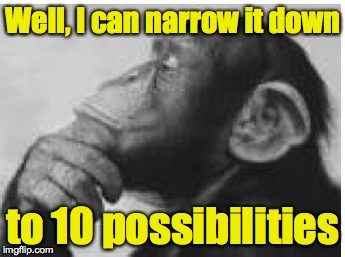 Well, I can narrow it down to 10 possibilities | made w/ Imgflip meme maker