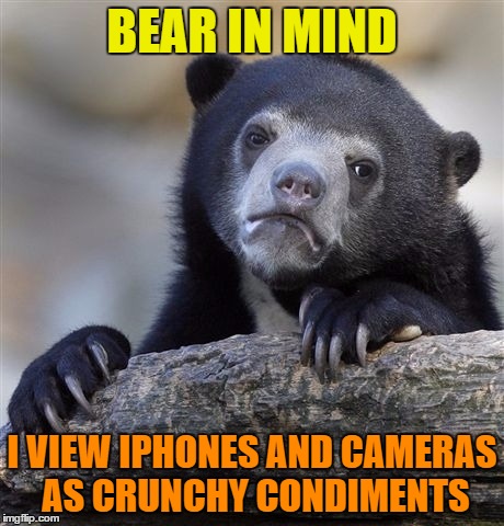 Confession Bear | BEAR IN MIND; I VIEW IPHONES AND CAMERAS AS CRUNCHY CONDIMENTS | image tagged in memes,confession bear | made w/ Imgflip meme maker