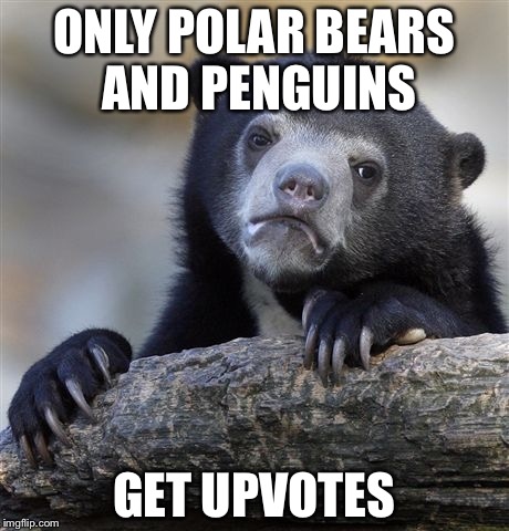 Confession Bear Meme | ONLY POLAR BEARS AND PENGUINS GET UPVOTES | image tagged in memes,confession bear | made w/ Imgflip meme maker