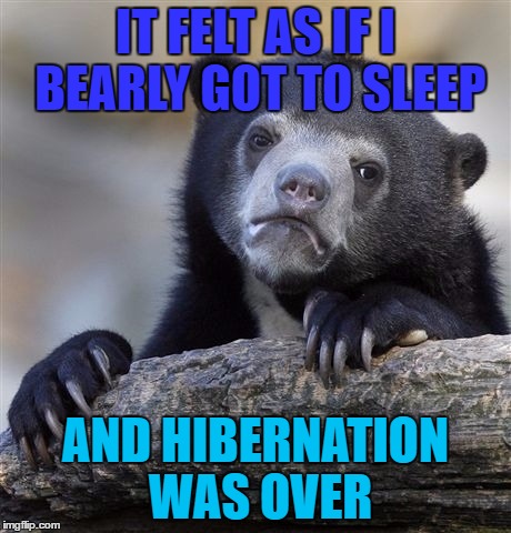 Confession Bear | IT FELT AS IF I BEARLY GOT TO SLEEP; AND HIBERNATION WAS OVER | image tagged in memes,confession bear | made w/ Imgflip meme maker