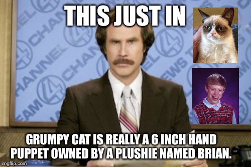 Breaking news... Beloved icon unmasked | THIS JUST IN; GRUMPY CAT IS REALLY A 6 INCH HAND PUPPET OWNED BY A PLUSHIE NAMED BRIAN. | image tagged in memes,ron burgundy,grumpy cat,bad luck brian | made w/ Imgflip meme maker