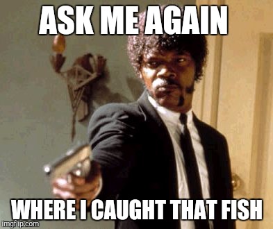 Say That Again I Dare You | ASK ME AGAIN; WHERE I CAUGHT THAT FISH | image tagged in memes,say that again i dare you | made w/ Imgflip meme maker
