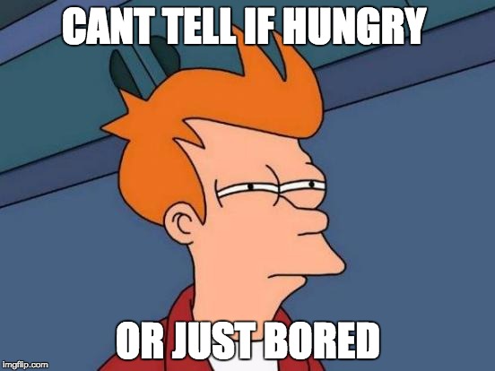 Futurama Fry | CANT TELL IF HUNGRY; OR JUST BORED | image tagged in memes,futurama fry | made w/ Imgflip meme maker