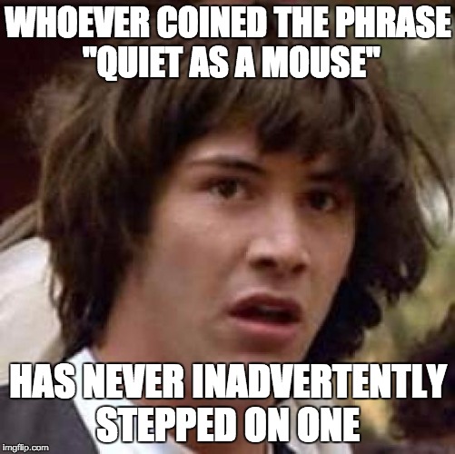 Conspiracy Keanu Meme | WHOEVER COINED THE PHRASE "QUIET AS A MOUSE"; HAS NEVER INADVERTENTLY STEPPED ON ONE | image tagged in memes,conspiracy keanu | made w/ Imgflip meme maker