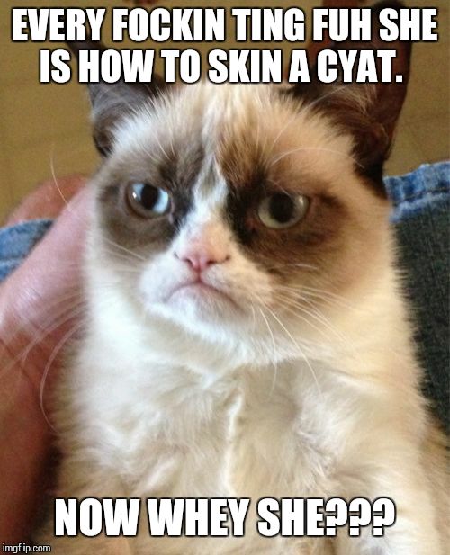 Grumpy Cat Meme | EVERY FOCKIN TING FUH SHE IS HOW TO SKIN A CYAT. NOW WHEY SHE??? | image tagged in memes,grumpy cat | made w/ Imgflip meme maker