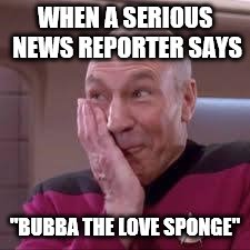 It's the small things that can brighten your day... | WHEN A SERIOUS NEWS REPORTER SAYS; "BUBBA THE LOVE SPONGE" | image tagged in patrick stewart smirk,memes,bubba the love sponge,hulk hogan | made w/ Imgflip meme maker