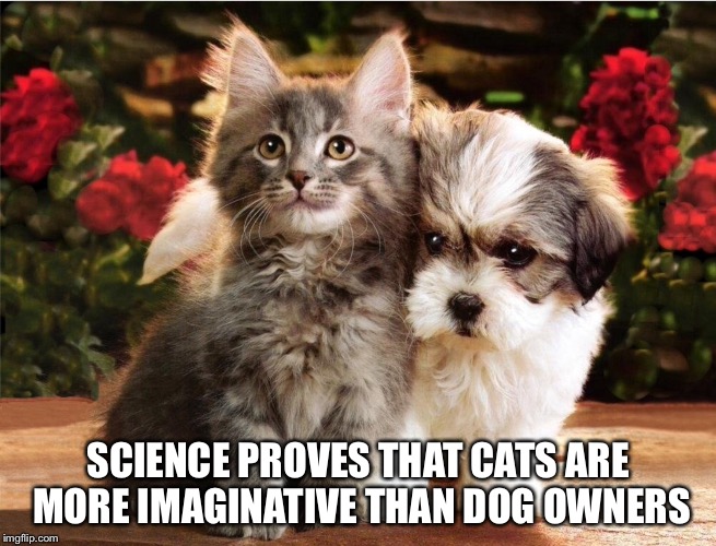 SCIENCE PROVES THAT CATS ARE MORE IMAGINATIVE THAN DOG OWNERS | image tagged in cats,kittens,dogs,puppies,science,pseudoscience | made w/ Imgflip meme maker