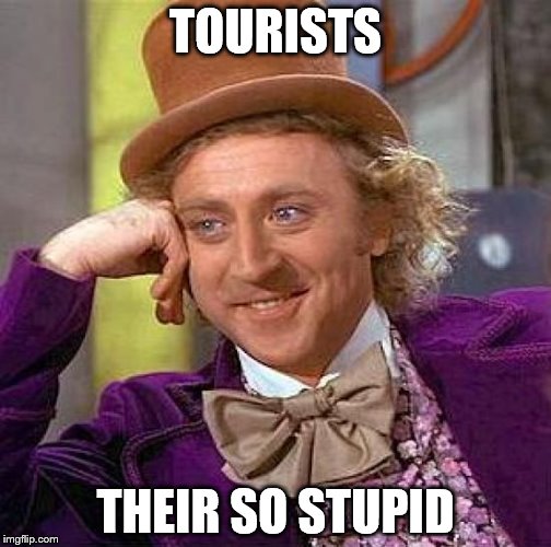 Creepy Condescending Wonka | TOURISTS; THEIR SO STUPID | image tagged in memes,creepy condescending wonka | made w/ Imgflip meme maker