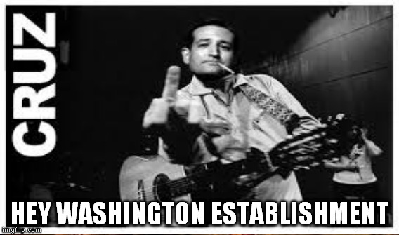 HEY WASHINGTON ESTABLISHMENT | image tagged in ted cruz | made w/ Imgflip meme maker