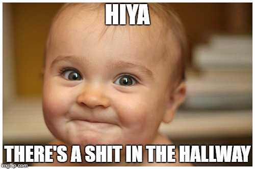 babys | HIYA; THERE'S A SHIT IN THE HALLWAY | image tagged in babys | made w/ Imgflip meme maker