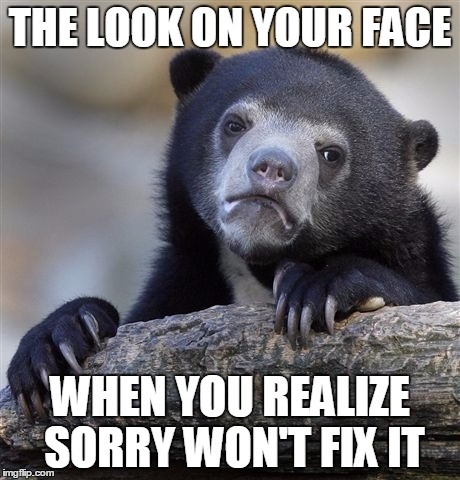 Sorry won't fix it |  THE LOOK ON YOUR FACE; WHEN YOU REALIZE SORRY WON'T FIX IT | image tagged in memes,confession bear | made w/ Imgflip meme maker
