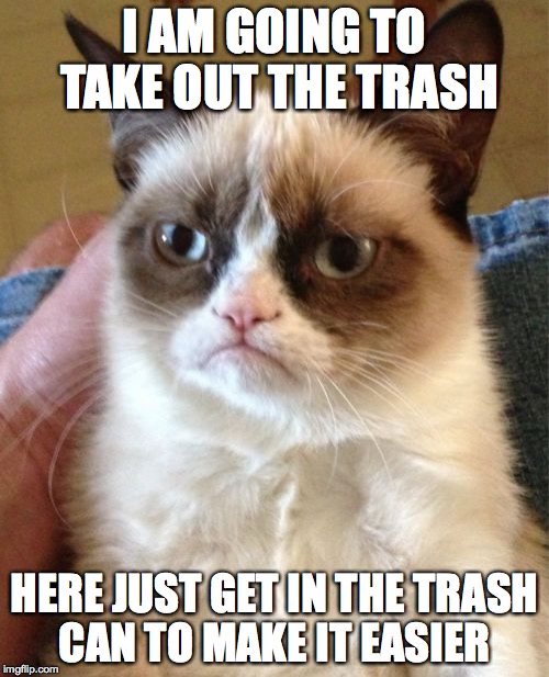 Grumpy Cat | I AM GOING TO TAKE OUT THE TRASH; HERE JUST GET IN THE TRASH CAN TO MAKE IT EASIER | image tagged in memes,grumpy cat | made w/ Imgflip meme maker
