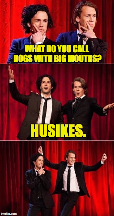 WHAT DO YOU CALL DOGS WITH BIG MOUTHS? HUSIKES. | image tagged in bad pul ylvis | made w/ Imgflip meme maker