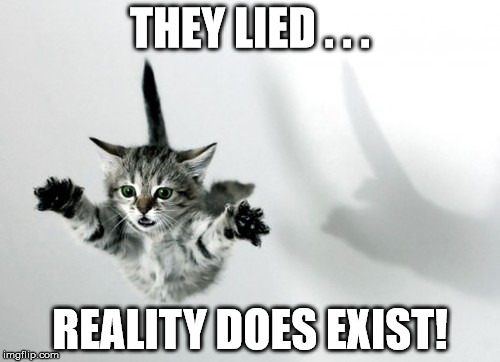 THEY LIED . . . REALITY DOES EXIST! | image tagged in cat falling deception reality | made w/ Imgflip meme maker