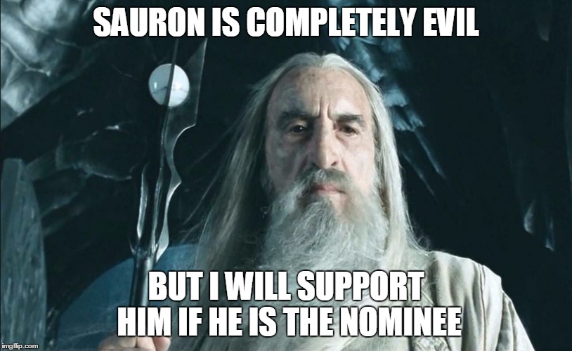 SAURON IS COMPLETELY EVIL; BUT I WILL SUPPORT HIM IF HE IS THE NOMINEE | image tagged in politics | made w/ Imgflip meme maker