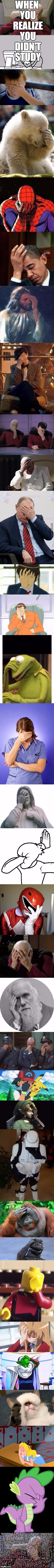 The Epic Facepalm | WHEN YOU REALIZE YOU DIDN'T STUDY | image tagged in the epic facepalm,scumbag | made w/ Imgflip meme maker