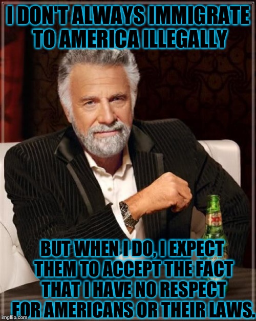 The Most Interesting Man In The World Meme | I DON'T ALWAYS IMMIGRATE TO AMERICA ILLEGALLY BUT WHEN I DO, I EXPECT THEM TO ACCEPT THE FACT THAT I HAVE NO RESPECT FOR AMERICANS OR THEIR  | image tagged in memes,the most interesting man in the world | made w/ Imgflip meme maker