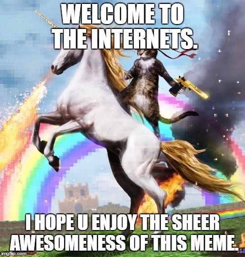 Welcome To The Internets Meme | WELCOME TO THE INTERNETS. I HOPE U ENJOY THE SHEER AWESOMENESS OF THIS MEME. | image tagged in memes,welcome to the internets | made w/ Imgflip meme maker