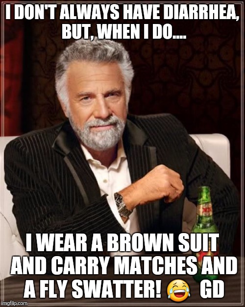 The Most Interesting Man In The World | I DON'T ALWAYS HAVE DIARRHEA, BUT, WHEN I DO.... I WEAR A BROWN SUIT AND CARRY MATCHES AND A FLY SWATTER! 😂  GD | image tagged in memes,the most interesting man in the world | made w/ Imgflip meme maker