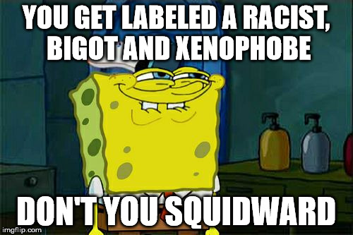 Don't You Squidward Meme | YOU GET LABELED A RACIST, BIGOT AND XENOPHOBE DON'T YOU SQUIDWARD | image tagged in memes,dont you squidward | made w/ Imgflip meme maker